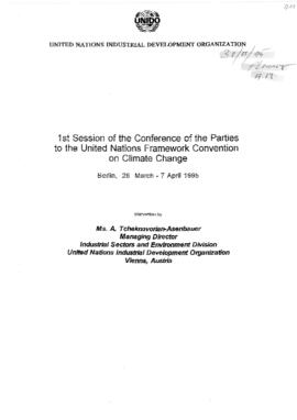 High Level Segment Statement COP1 UNIDO 19950330