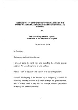 High Level Segment Statement COP15 Guyana 20091217