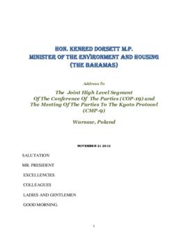 High Level Segment Statement COP19 Bahamas 20131121