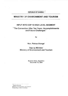 High Level Segment Panel Statements(s) COP10 Namibia 20041215