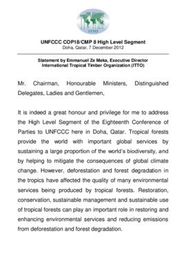 High Level Segment Statement COP18 ITTO 20121207