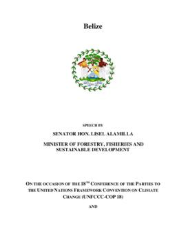 High Level Segment Statement COP18 Belize 20121205