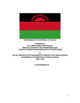 High Level Segment Statement COP20 Malawi 20141211