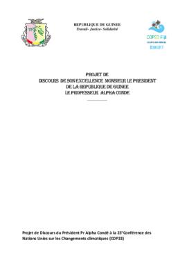 High Level Segment Statement COP23 Guinea 20171115