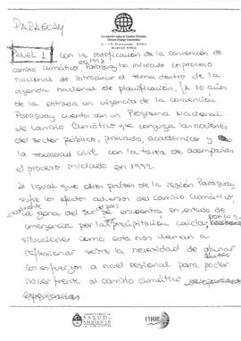 High Level Segment Panel Statements(s) COP10 Paraguay 20041215