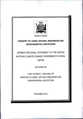 High Level Segment Statement COP18 Zambia 20121205
