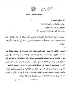 High Level Segment Panel Statements(s) COP10 Egypt 20041215