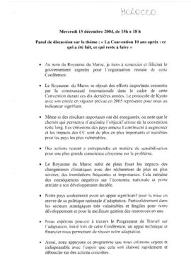 High Level Segment Panel Statements(s) COP10 Morocco 20041215