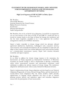 High Level Segment Statement COP18 Nepal 20121205