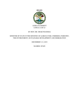 High Level Segment Statement COP25 Belize on behalf of the Alliance of Small Island Developing States 20191210