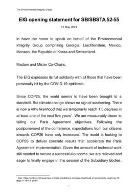 Statement Opening of SB2021 Switzerland on behalf of the Environmental Integrity Group (EIG) 20210531