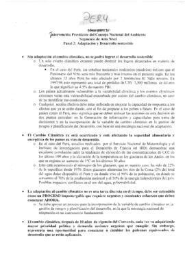 High Level Segment Panel Statements(s) COP10 Peru 20041216