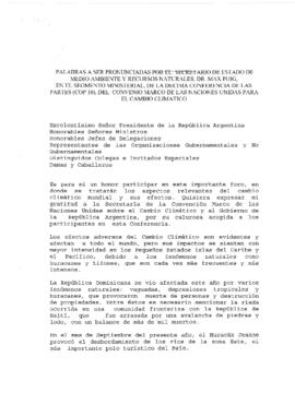High Level Segment Panel Statements(s) COP10 Dominican Republic 20041215