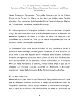 High Level Segment Statement COP20 Honduras 20141209