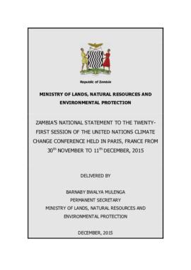 High Level Segment Statement COP21 Zambia 20151208