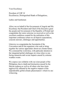 High Level Segment Statement COP19 Angola 20131120