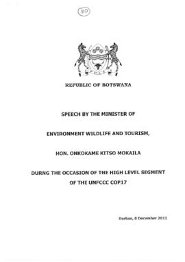 High Level Segment Statement COP17 Botswana 20111208