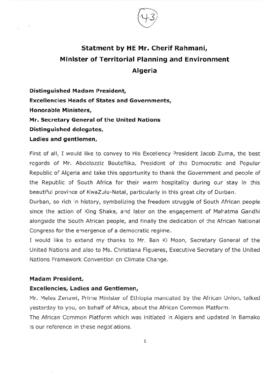 High Level Segment Statement COP17 Algeria 20111207