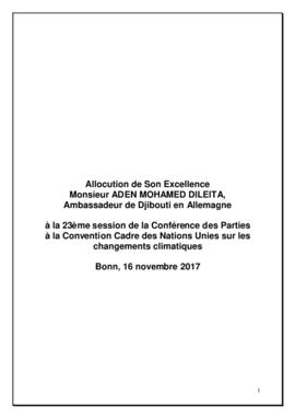 High Level Segment Statement COP23 Djibouti 20171116