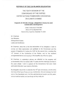 High Level Segment Panel Statements(s) COP10 Fiji 20041216