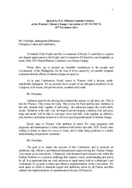 High Level Segment Statement COP19 Brazil 20131120