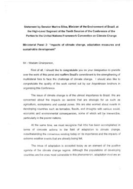 High Level Segment Panel Statements(s) COP10 Brazil 20041215