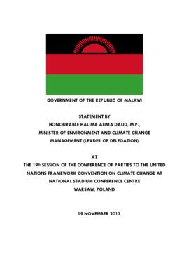 High Level Segment Statement COP19 Malawi 20131120