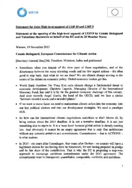 High Level Segment Statement COP19 European Union 20131119
