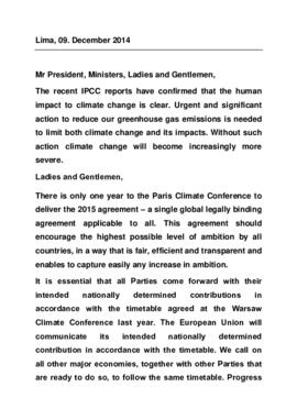 High Level Segment Statement COP20 Estonia 20141209