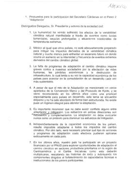 High Level Segment Panel Statements(s) COP10 Mexico 20041216