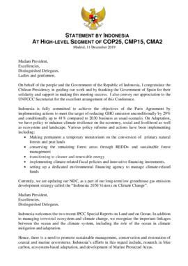 High Level Segment Statement COP25 Indonesia 20191211