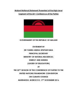 High Level Segment Statement COP22 Malawi 20161117