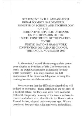 High Level Segment Statement COP6 Brazil 20001121